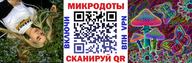 Псилоцибиновые грибы MAGIC MUSHROOMS  Судогда 